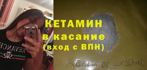 шишки Гусев