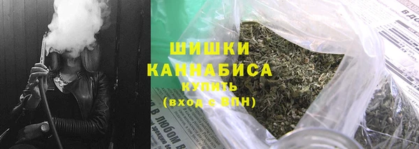 гашик Тихвин