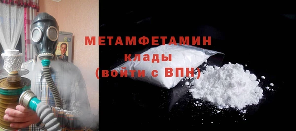 шишки Гусев