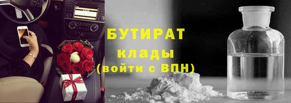 гашик Тихвин