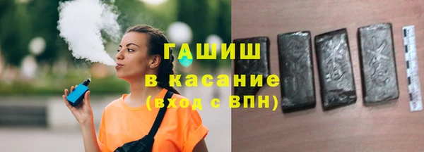 шишки Гусев