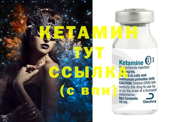 шишки Гусев