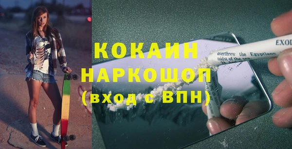 шишки Гусев