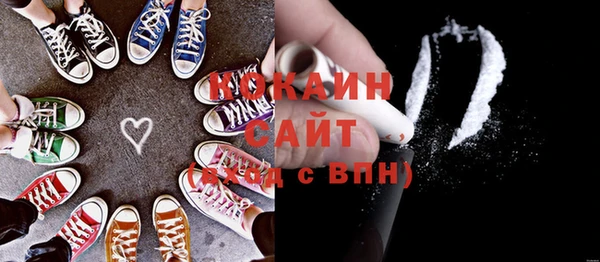 шишки Гусев