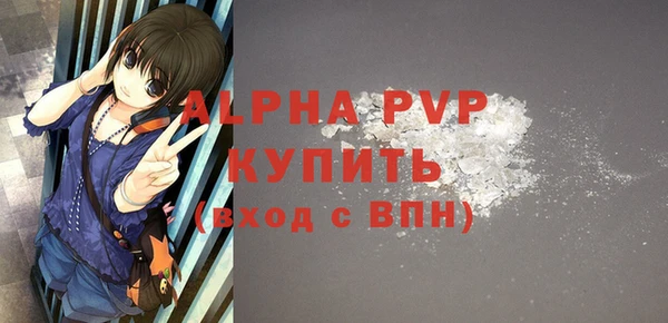 шишки Гусев