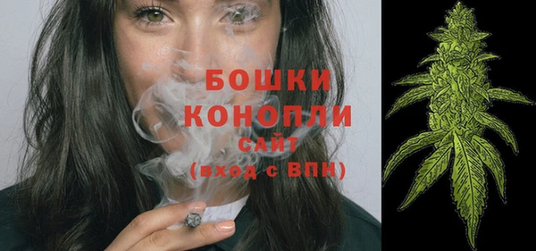 винт Гусь-Хрустальный