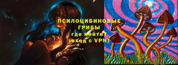 шишки Гусев
