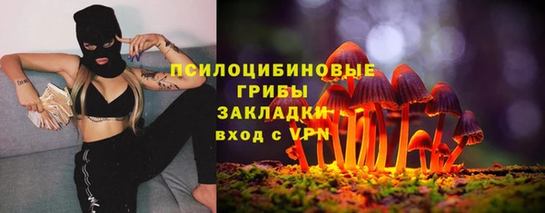 шишки Гусев